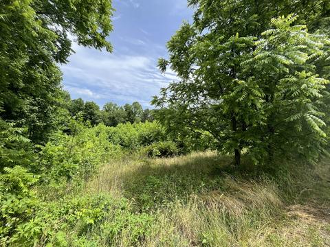 0 Lewis Rd, Spencer, TN 38585