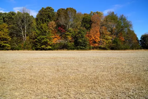 0 Lincoln Loop Rd, Flintville, TN 37335