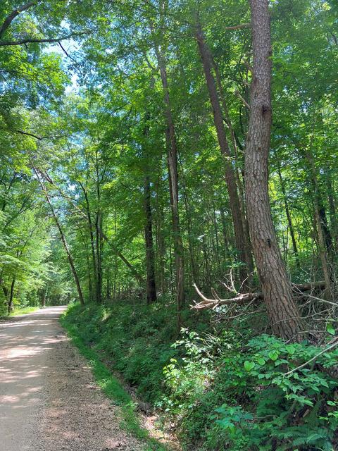 0 Little Spring Ln, Decaturville, TN 38329