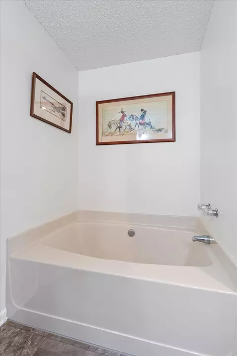 306 Chestnut Ter, Spring Hill, TN 37174 photo 16