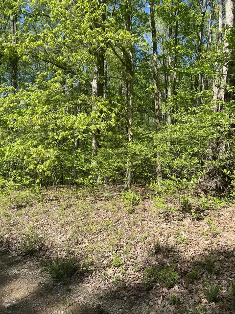 0 Big Horn Rd, Bon Aqua, TN 37025