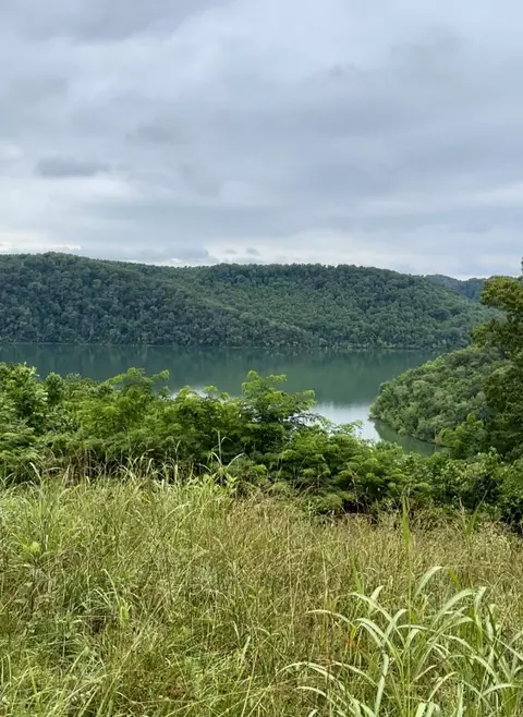 1250 Lafever Ridge Rd, Silver Point, TN 38582