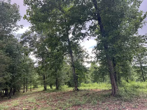 0 Henry Harris Rd, Westmoreland, TN 37186