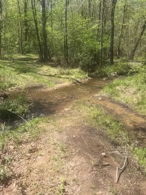 0 Denton Hollow Road Rd NW, Cleveland, TN 37312