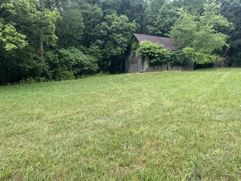 1 Dog Br, Pleasant Shade, TN 37145
