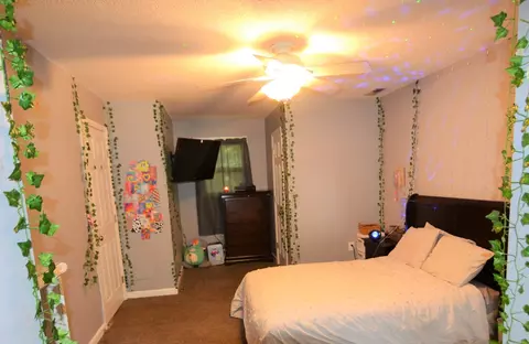 514 Pleasant Ridge Rd, Goodspring, TN 38460 photo 33