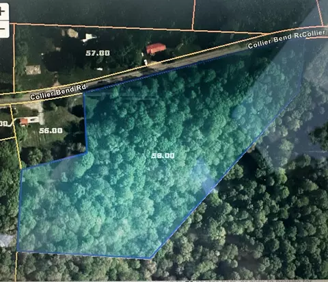 0 Colliers Bend Rd, Charlotte, TN 37036