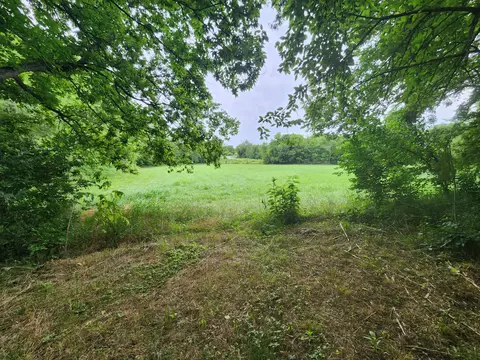 36 Old Highway 31 E, Bethpage, TN 37022 photo 12