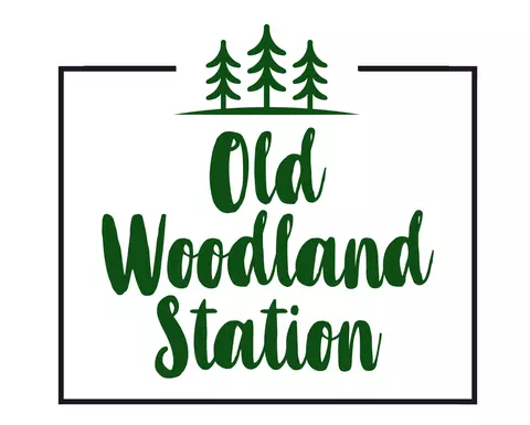 188 Woodland Station Dr, Clarksville, TN 37040
