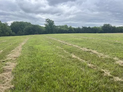 0 Cedar Blf, Lebanon, TN 37087