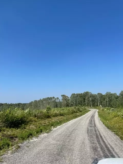 0 Jennie Smith Rd, Hohenwald, TN 38462