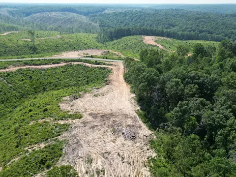 0 Springer Rd # D, Hohenwald, TN 38462