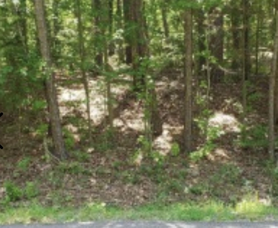 139 Edgewater Dr  