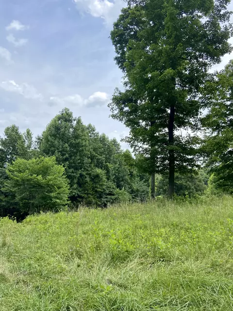 0 Lillydale Rd, Byrdstown, TN 38549