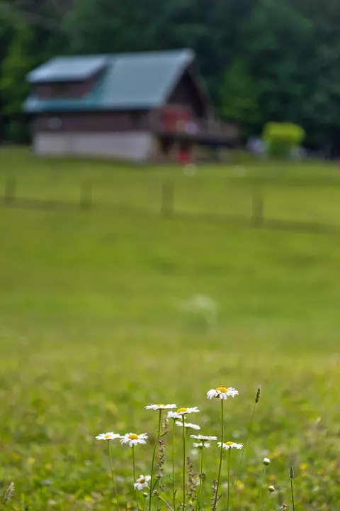 452 Tate Rd, Sewanee, TN 37375 photo 50