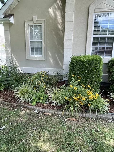 113 Foxrun, Springfield, TN 37172 photo 42