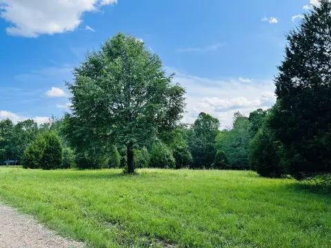 295 Mount Zion Ln, Mcewen, TN 37101