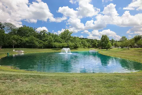 1013 Oglethorpe Dr, Franklin, TN 37064 photo 39