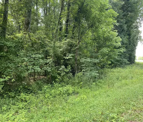 0 Prairie Chapel Rd Tn, Decherd, TN 37324
