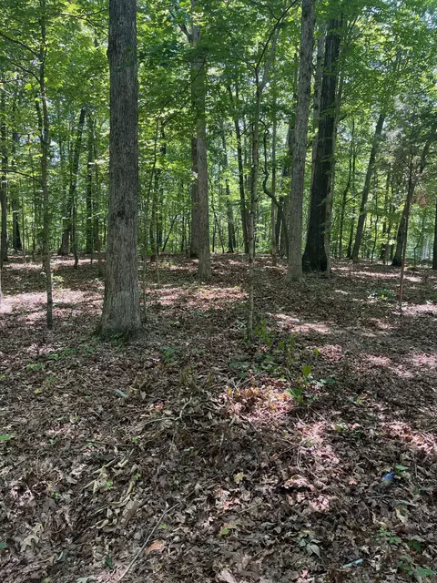 0 Cc Rd, Kingston Springs, TN 37082