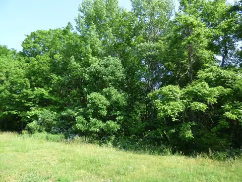2547 Everwood Ct, Clarksville, TN 37043