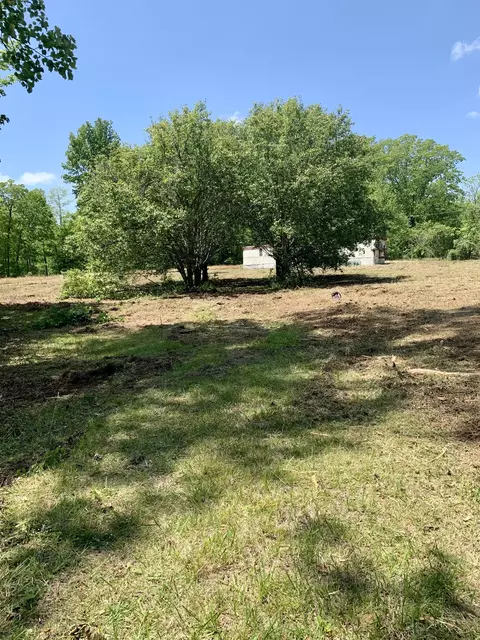 262 Old Grays Cove Trl, Belvidere, TN 37306