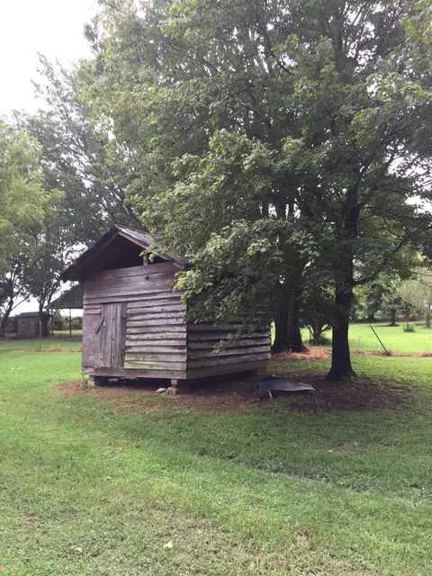 1795 County Road 372, Dutton, AL 35744 photo 24