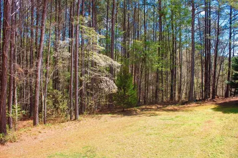 1925 County Road 165, Cedar Bluff, AL 35959 photo 23