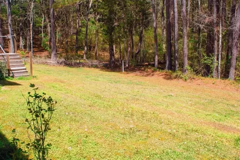 1925 County Road 165, Cedar Bluff, AL 35959 photo 3
