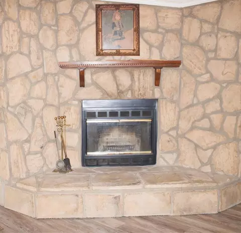 1925 County Road 165, Cedar Bluff, AL 35959 photo 5