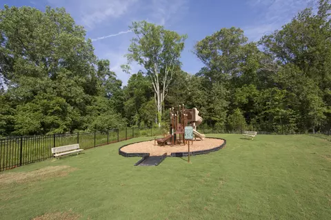 6213 Birchtree Dr, Murfreesboro, TN 37128 photo 36
