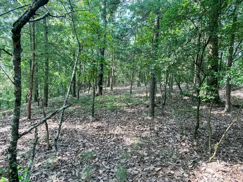 0 County Road 365, Leesburg, AL 35983