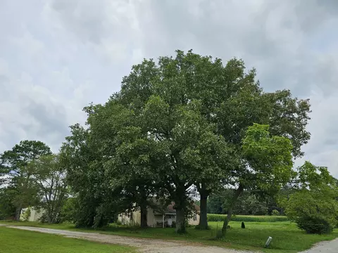 227 Grosch Dr, Manchester, TN 37355