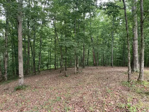 583 White Pine Dr, Centerville, TN 37033 photo 53