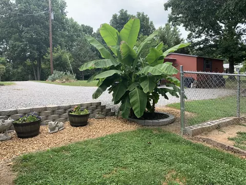 583 White Pine Dr, Centerville, TN 37033 photo 50