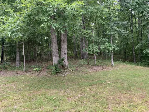 583 White Pine Dr, Centerville, TN 37033 photo 38