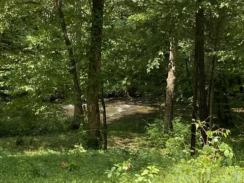 0 Johnson Ln, Loretto, TN 38469 photo 7