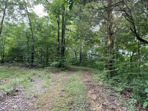0 Johnson Ln, Loretto, TN 38469 photo 26