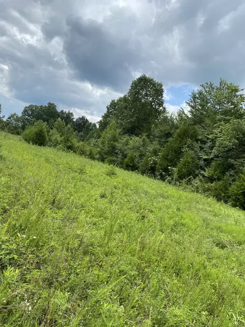 0 Johnson Ln, Loretto, TN 38469 photo 4