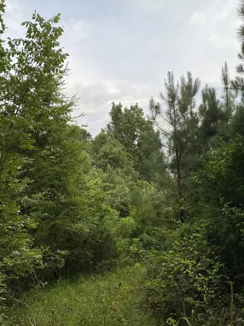 0 Johnson Ln, Loretto, TN 38469 photo 12