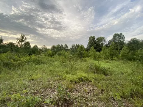 0 Johnson Ln, Loretto, TN 38469 photo 9