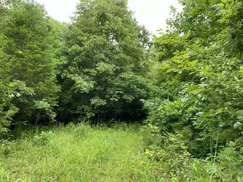 0 Johnson Ln, Loretto, TN 38469 photo 18