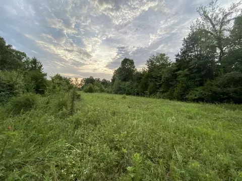0 Johnson Ln, Loretto, TN 38469 photo 10