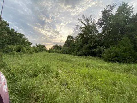 0 Johnson Ln, Loretto, TN 38469 photo 11