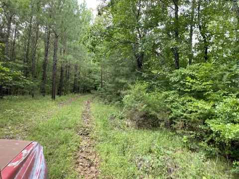0 Johnson Ln, Loretto, TN 38469 photo 25