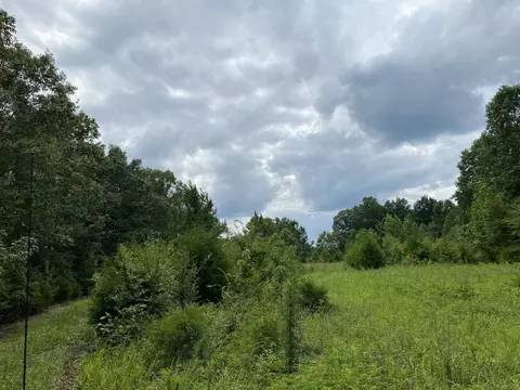 0 Johnson Ln, Loretto, TN 38469 photo 6
