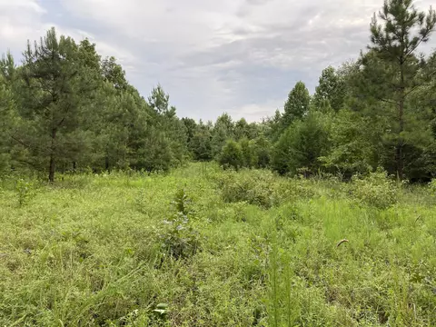 0 Johnson Ln, Loretto, TN 38469 photo 17