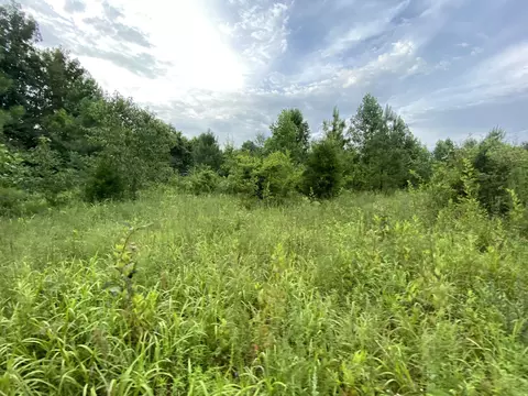 0 Johnson Ln, Loretto, TN 38469 photo 8