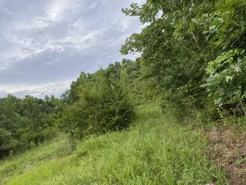 0 Johnson Ln, Loretto, TN 38469 photo 19