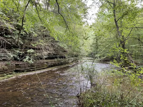 0 Johnson Ln, Loretto, TN 38469